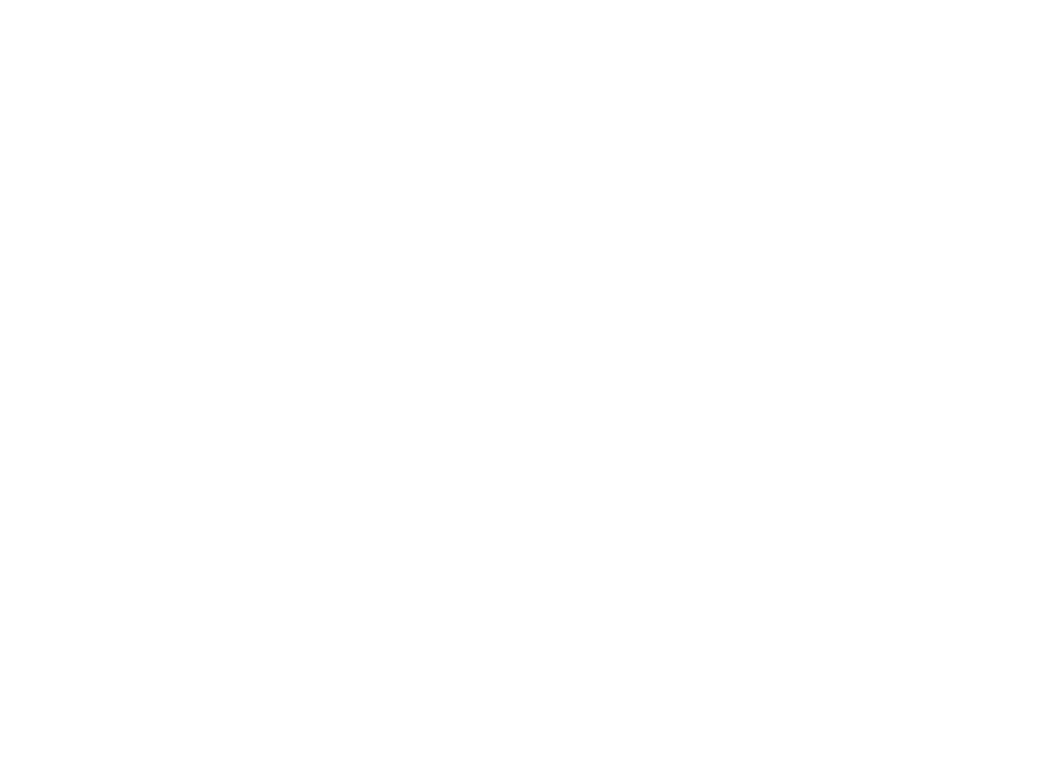 Patoliya Infotech Team and Software Solutions Visual